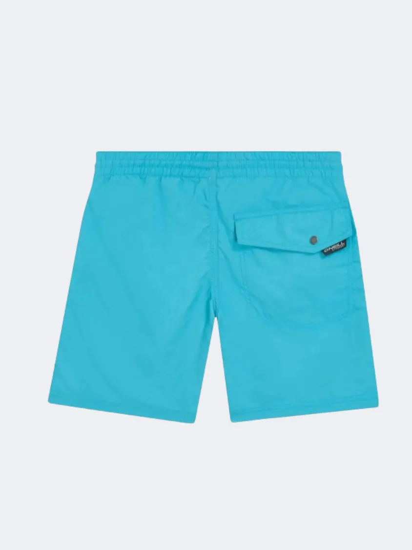 ONeill Vert 14 Inch Boys Beach Swim Short Neon Blue