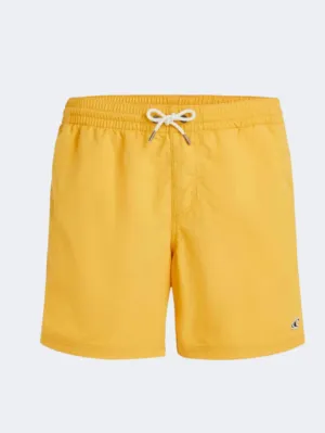 ONeill Vert 16 Inch Men Beach Swim Short Golden Haze