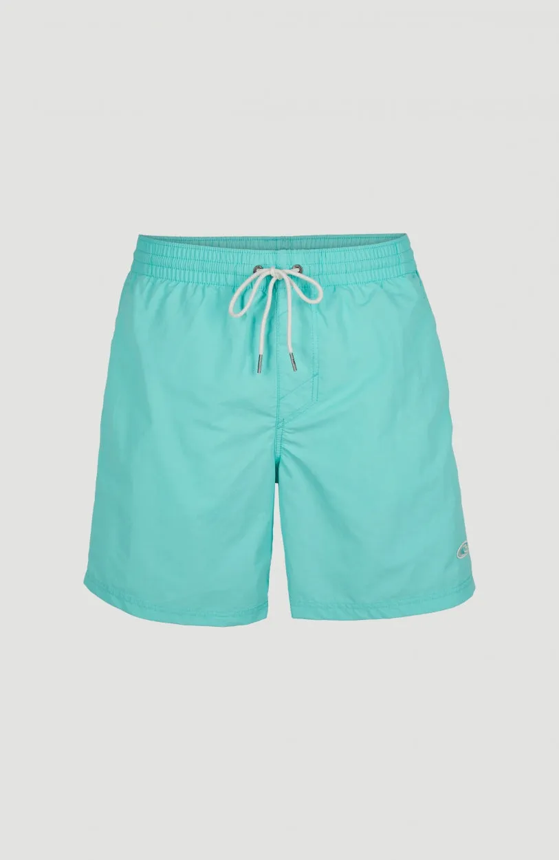 Vert 16'' Swim Shorts | Aqua Spalsh