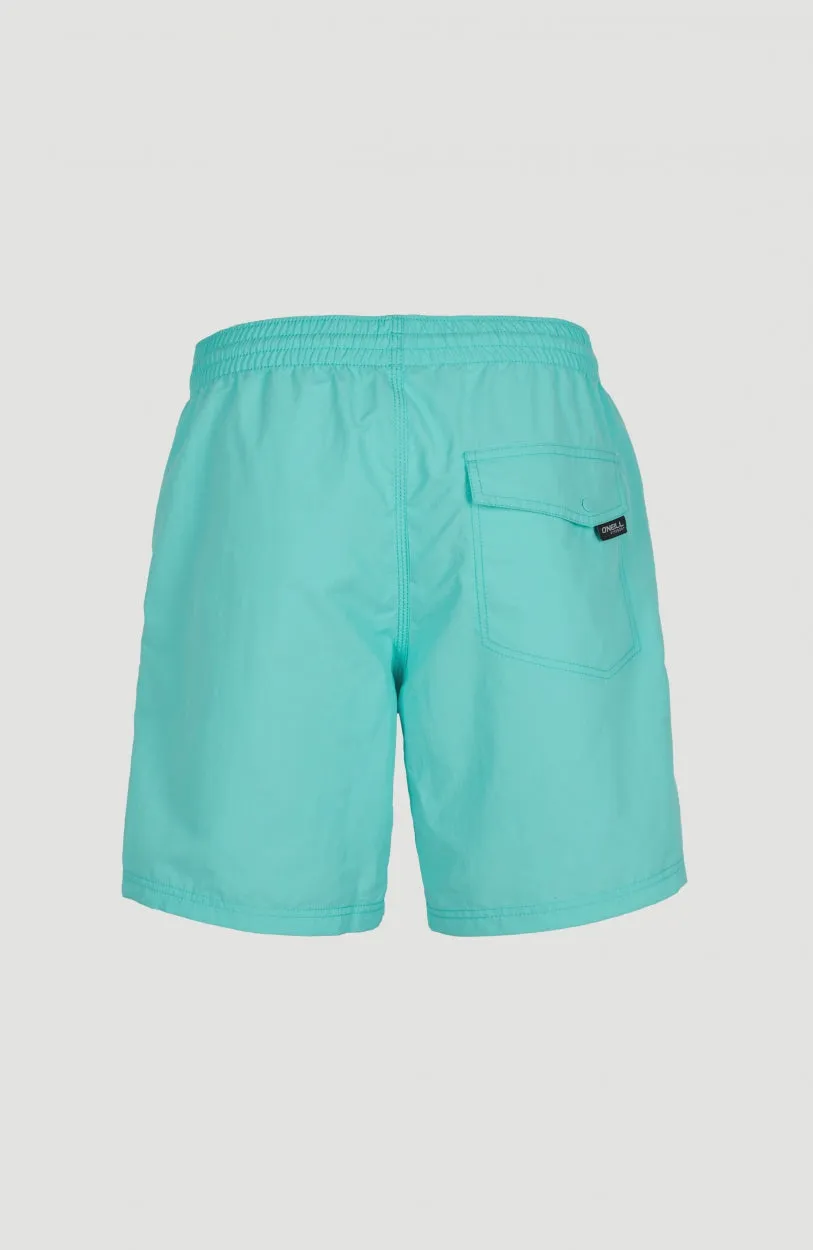 Vert 16'' Swim Shorts | Aqua Spalsh