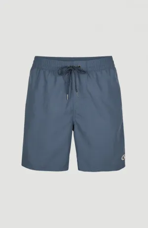 Vert 16'' Swim Shorts | Dusty Blue -A